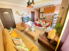 1 modern cozy appartement in the city center that suits your taste